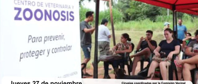 ELDORADO: Operativo de esterilización de mascotas en el Quirófano Veterinario Móvil ELDORADO: Operativo de esterilización de mascotas en el Quirófano Veterinario Móvil