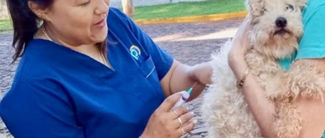 PUERTO RICO: Jornada de vacunación antirrábica y entrega de tratamientos para mascotas PUERTO RICO: Jornada de vacunación antirrábica y entrega de tratamientos para mascotas