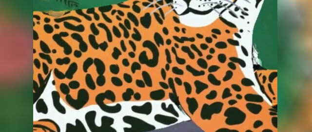 IGUAZÚ: Festival “Somos la Selva” celebrará al yaguareté en la Plaza San Martín IGUAZÚ: Festival “Somos la Selva” celebrará al yaguareté en la Plaza San Martín