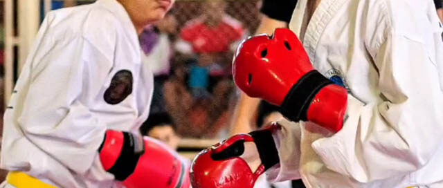 WANDA: La Copa Piedra Preciosa reunió a escuelas de Taekwon-Do de la región WANDA: La Copa Piedra Preciosa reunió a escuelas de Taekwon-Do de la región