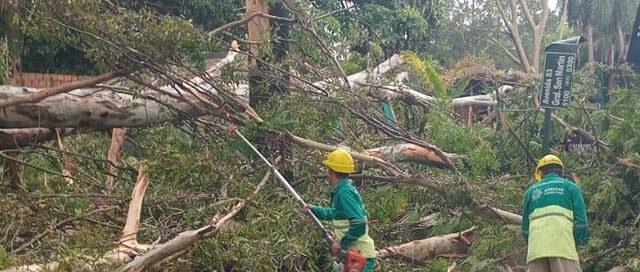 POSADAS: Operativo municipal para despejar calles tras la tormenta POSADAS: Operativo municipal para despejar calles tras la tormenta