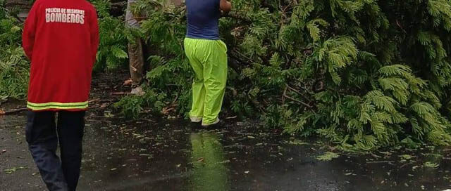 POSADAS: Rápido operativo tras la tormenta para relevar daños y asistir a vecinos POSADAS: Rápido operativo tras la tormenta para relevar daños y asistir a vecinos
