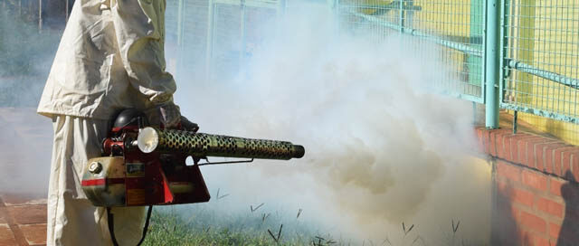 POSADAS: Nuevos operativos municipales contra el dengue POSADAS: Nuevos operativos municipales contra el dengue