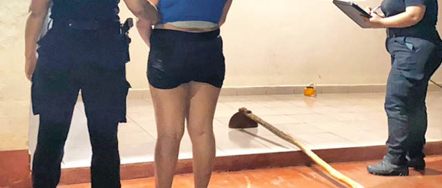 CAMPO VIERA: Detuvieron a una mujer que intentó agredir a su pareja con una azada CAMPO VIERA: Detuvieron a una mujer que intentó agredir a su pareja con una azada