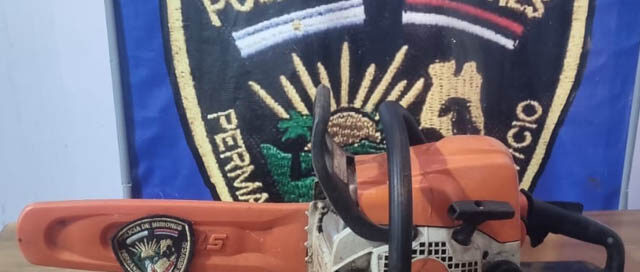SAN PEDRO: Recuperan una motosierra robada tras una investigación policial SAN PEDRO: Recuperan una motosierra robada tras una investigación policial