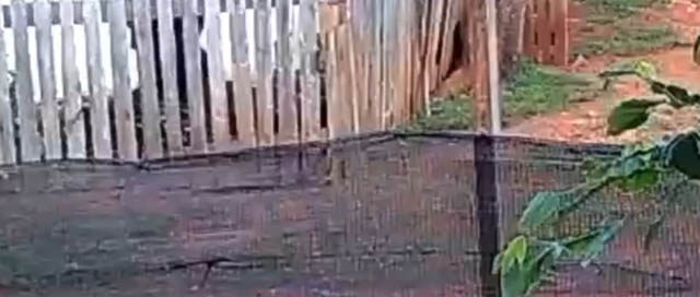 APÓSTOLES: Detienen a conocido delincuente acusado de robo e intento de abuso a una menor APÓSTOLES: Detienen a conocido delincuente acusado de robo e intento de abuso a una menor