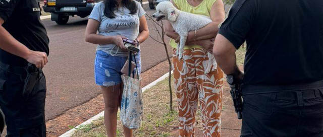 ESPERANZA: La Policía refuerza los operativos de prevención en la zona norte ESPERANZA: La Policía refuerza los operativos de prevención en la zona norte