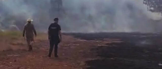 CAMPO VIERA: Bomberos contuvieron un incendio de malezas cerca de una plantación de pinos CAMPO VIERA: Bomberos contuvieron un incendio de malezas cerca de una plantación de pinos