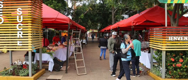 ELDORADO: Feria Municipal celebra su edición navideña en la Plaza Sarmiento