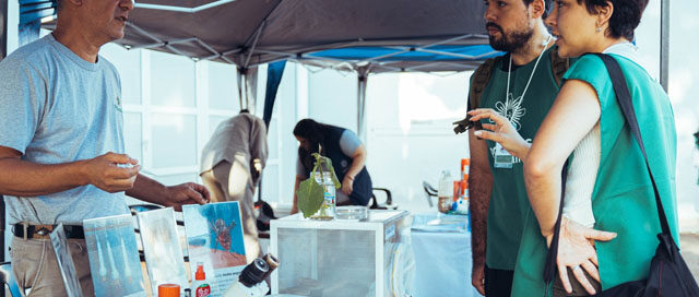 POSADAS: Inició un nuevo operativo LIRAa para prevenir el dengue POSADAS: Inició un nuevo operativo LIRAa para prevenir el dengue