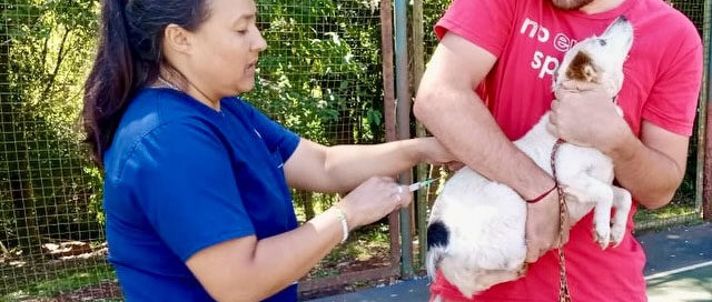 Puerto Rico: Jornada de vacunación antirrábica y entrega de antiparasitarios Puerto Rico: Jornada de vacunación antirrábica y entrega de antiparasitarios