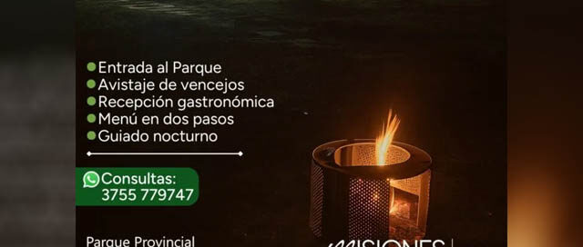 “Noches en el Parque”, experiencia nocturna con gastronomía y avistaje en el Salto Encantado