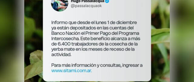 Más de 6.400 yerbateros cobran el primer pago del Programa Intercosecha Más de 6.400 yerbateros cobran el primer pago del Programa Intercosecha
