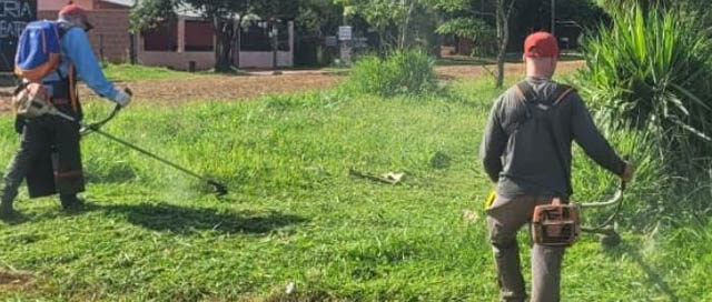 CANDELARIA: Continúan los trabajos de desmalezamiento en distintos barrios de la ciudad CANDELARIA: Continúan los trabajos de desmalezamiento en distintos barrios de la ciudad