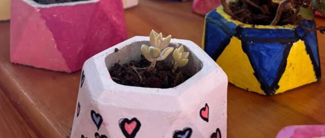 WANDA: Venta anual de trabajos de la Escuela Especial N° 37 para fortalecer talleres laborales WANDA: Venta anual de trabajos de la Escuela Especial N° 37 para fortalecer talleres laborales