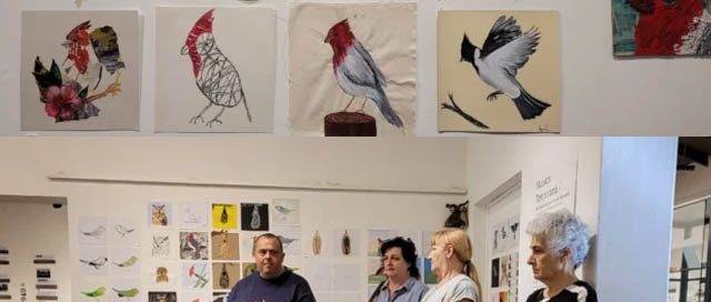 OBERÁ: El Museo Histórico presenta la muestra “Descubriendo Aves Misioneras” OBERÁ: El Museo Histórico presenta la muestra “Descubriendo Aves Misioneras”