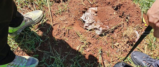 APÓSTOLES: Recuperan caja fuerte con .400.000 robada de una distribuidora y detienen a un joven APÓSTOLES: Recuperan caja fuerte con .400.000 robada de una distribuidora y detienen a un joven