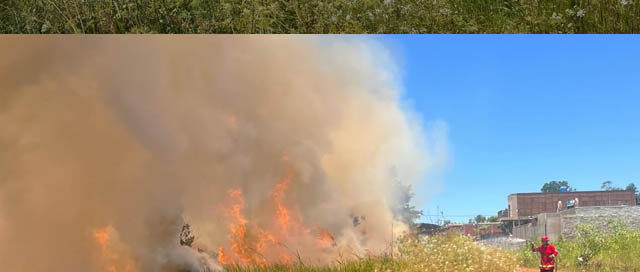 OBERÁ: Incendio de pastizales arrasó más de siete hectáreas en el barrio Punta Alta OBERÁ: Incendio de pastizales arrasó más de siete hectáreas en el barrio Punta Alta