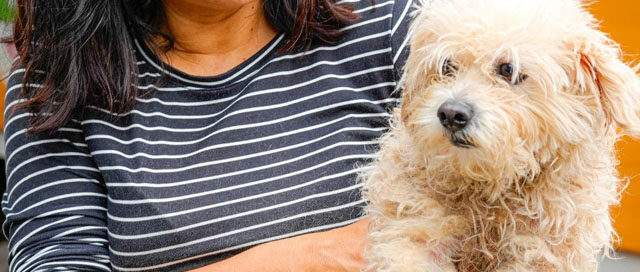 POSADAS: Agenda semanal de operativos de salud y servicios POSADAS: Agenda semanal de operativos de salud y servicios