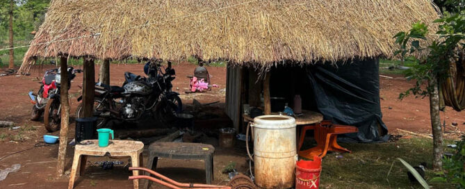 IGUAZÚ: Dos jóvenes detenidos por el homicidio de un integrante de la comunidad Mbya Guaraní