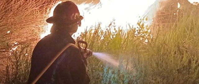 MISIONES: La provincia bajo alerta por riesgo de incendios forestales MISIONES: La provincia bajo alerta por riesgo de incendios forestales