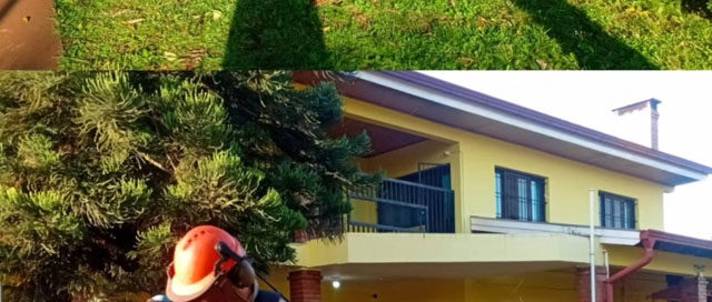 MONTECARLO: La Municipalidad refuerza tareas de limpieza y pide colaboración vecinal MONTECARLO: La Municipalidad refuerza tareas de limpieza y pide colaboración vecinal