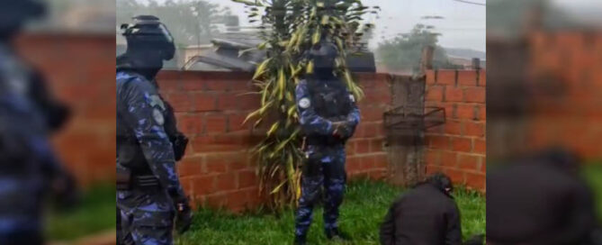 Desarticulan red de grooming que operaba con perfiles falsos de menores