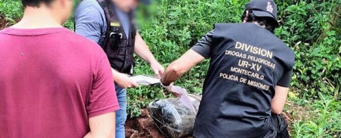 Secuestran cargamento de marihuana valuado en más de 67 millones de pesos