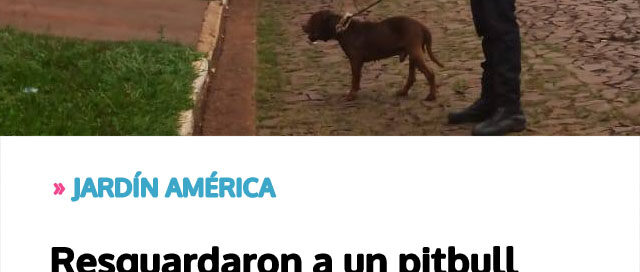 JARDÍN AMÉRICA: Resguardaron a un pitbull herido y buscan a su propietario