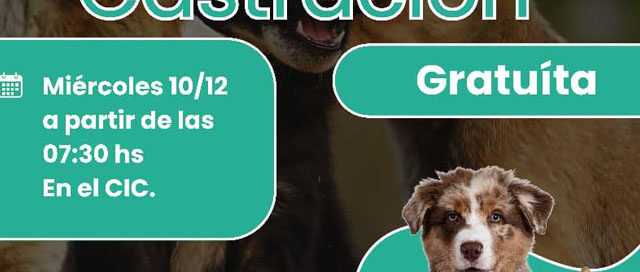 LIBERTAD: Jornada gratuita de vacunación y castración de mascotas en el CIC