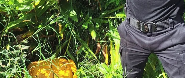 OBERÁ: La policía recuperó objetos robados en distintos operativos OBERÁ: La policía recuperó objetos robados en distintos operativos