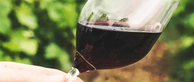 ARISTÓBULO: Elaboran vino artesanal y orgánico desde hace más de 20 años ARISTÓBULO: Elaboran vino artesanal y orgánico desde hace más de 20 años