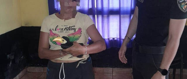 Gral. Urquiza: Rescatan un tucán en Puerto Menocchio y lo trasladan a un centro de fauna silvestre Gral. Urquiza: Rescatan un tucán en Puerto Menocchio y lo trasladan a un centro de fauna silvestre