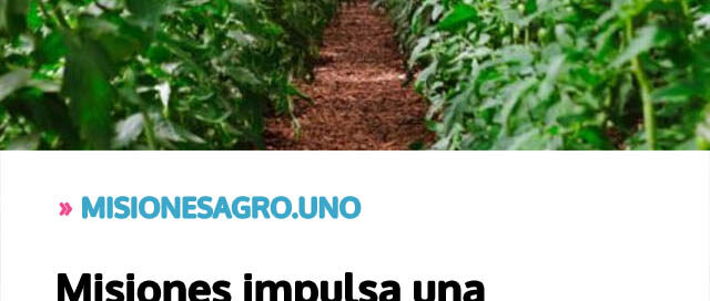 Misiones impulsa una estrategia integral para fortalecer la horticultura y diversificar su matriz productiva Misiones impulsa una estrategia integral para fortalecer la horticultura y diversificar su matriz productiva
