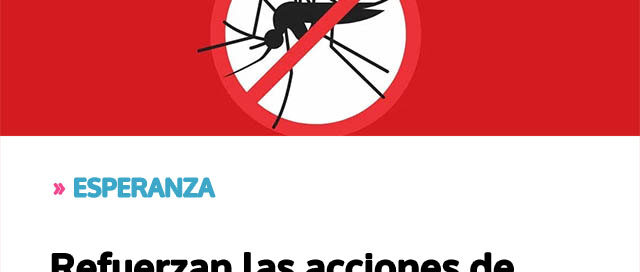 Refuerzan las acciones de prevención ante la alta presencia del mosquito del dengue Refuerzan las acciones de prevención ante la alta presencia del mosquito del dengue