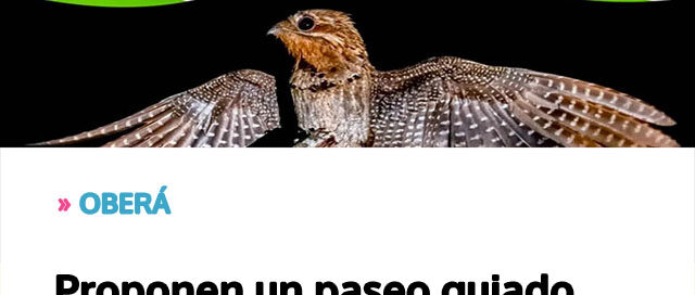 Proponen un paseo guiado nocturno para descubrir otra faceta del Jardín Botánico Proponen un paseo guiado nocturno para descubrir otra faceta del Jardín Botánico