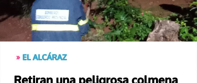 Retiran una peligrosa colmena de avispas en una vivienda tras alerta vecinal