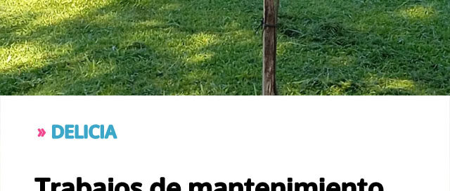 DELICIA: Trabajos de mantenimiento y cuidado en espacios verdes para mejorar la calidad ambiental de la comunidad