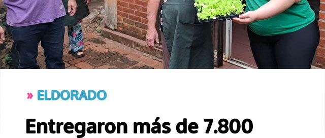 Entregaron más de 7.800 plantines de hortalizas para fortalecer la producción local en la Feria Franca