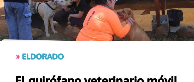 El quirófano veterinario móvil realizará un operativo de esterilización El quirófano veterinario móvil realizará un operativo de esterilización