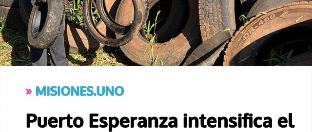 Puerto Esperanza intensifica el retiro de cubiertas en desuso para prevenir el dengue Puerto Esperanza intensifica el retiro de cubiertas en desuso para prevenir el dengue