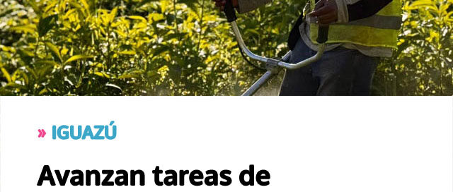 Avanzan tareas de mantenimiento en espacios verdes e instituciones Avanzan tareas de mantenimiento en espacios verdes e instituciones