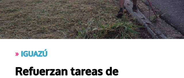 Refuerzan tareas de mantenimiento y limpieza de espacios verdes