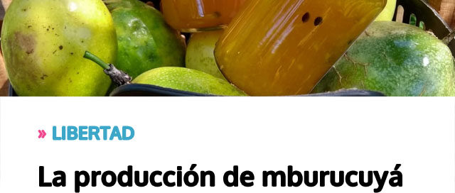 La producción de mburucuyá se consolida como motor de desarrollo rural y comunitario
