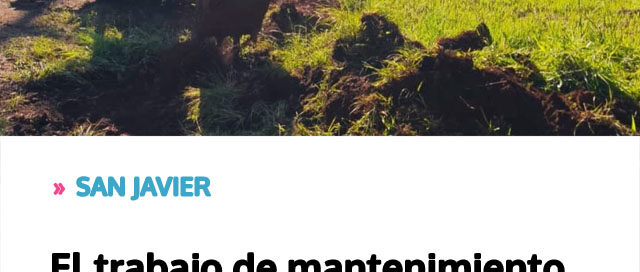 El trabajo de mantenimiento municipal que sostiene la seguridad y el bienestar de la comunidad