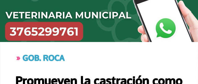 Promueven la castración como medida de cuidado animal Promueven la castración como medida de cuidado animal