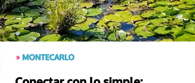 Conectar con lo simple: Espacio Roberto Münz, un punto natural pensado para el descanso y la recreación Conectar con lo simple: Espacio Roberto Münz, un punto natural pensado para el descanso y la recreación