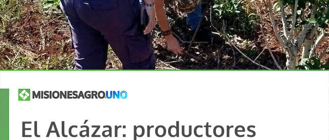 El Alcázar: productores participaron de una capacitación junto al INYM, INTA y el área de Agro municipal