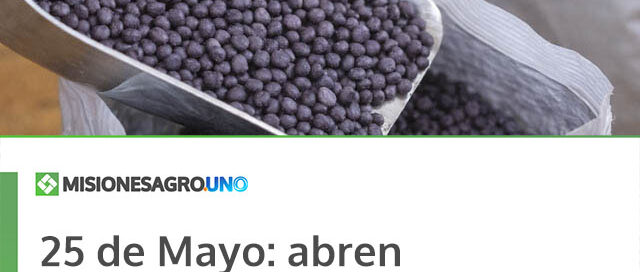 25 de Mayo: abren pedidos de semillas de cebolla morada INTA para productores locales