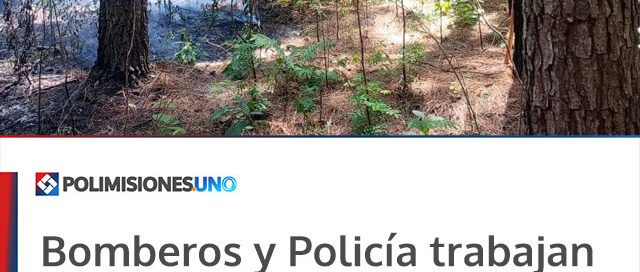 Bomberos y Policía trabajan para controlar incendio en lote de pinar Bomberos y Policía trabajan para controlar incendio en lote de pinar
